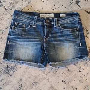 Womens BKE SIZE 29 Culture Shorts